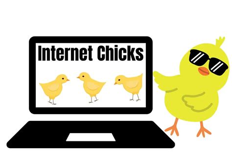 unternet chicks|Understanding Internet Chicks: A Comprehensive Guide